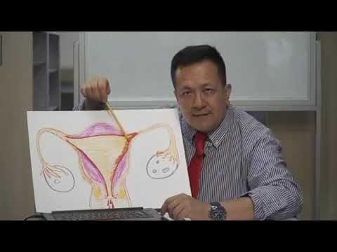 Por qué duele el vientre durante el sexo