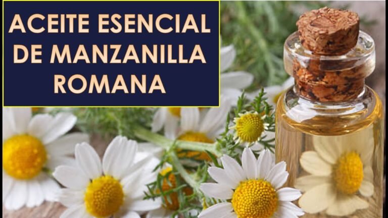 Beneficios del aceite esencial de manzanilla romana
