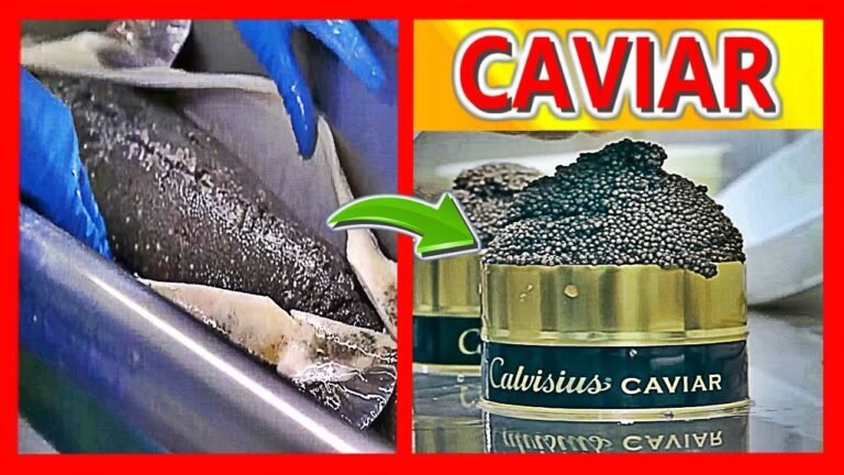 El precio del caviar: ¿Cuánto cuesta realmente?