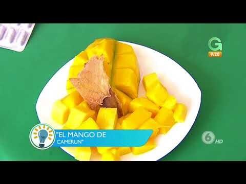 Beneficios del mango africano: ¿Para qué sirve?