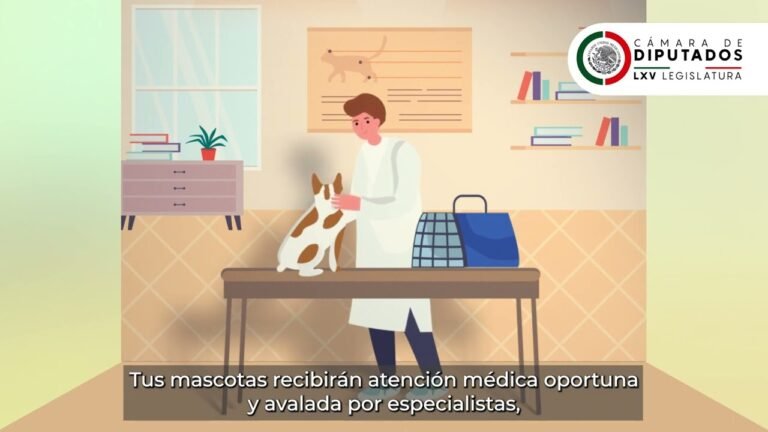 Clínica Veterinaria Cerca de Mí: Cuidados para Perros