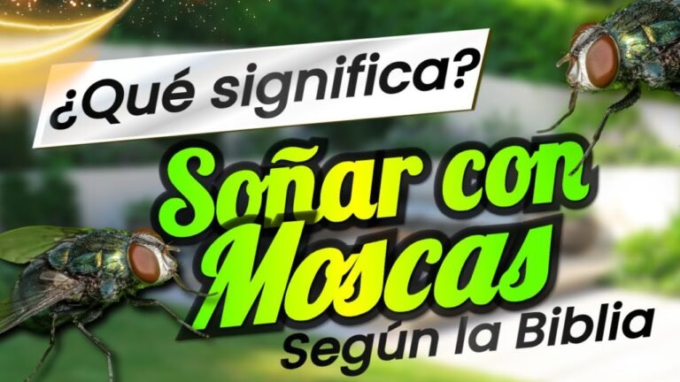 El significado bíblico de soñar con moscas