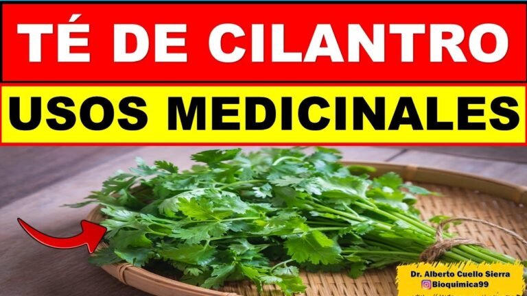 Té de cilantro: un tratamiento natural para la epilepsia