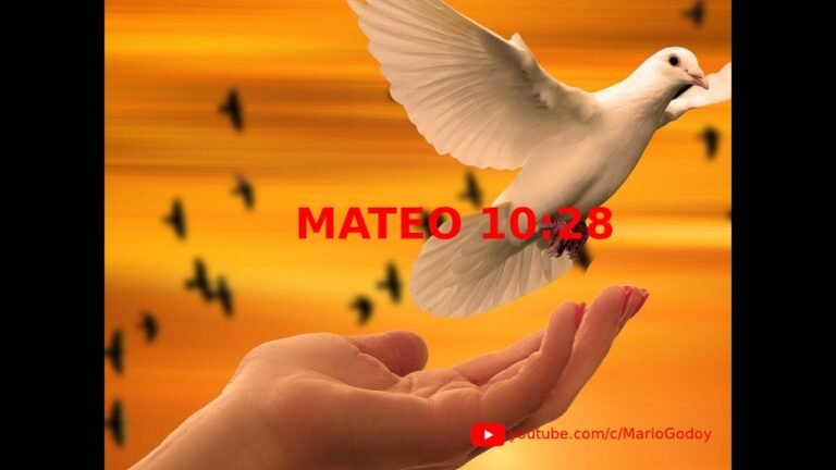 Explicación de Mateo 10:28: El temor a Dios y el alma